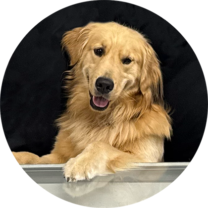 murphy2